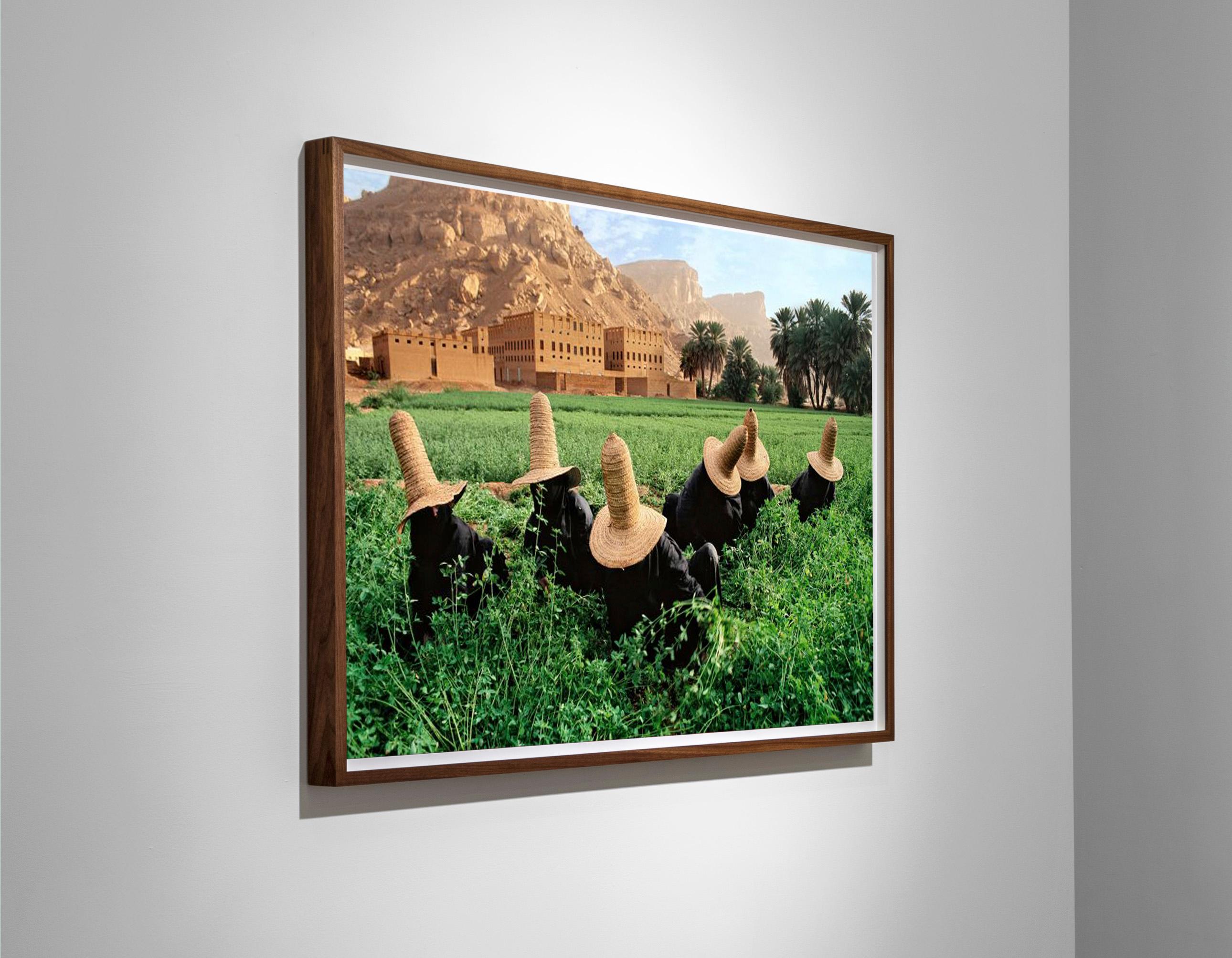 Raccoglitori di trifoglio a Wadi Hadramawt, Yemen, 1999 - Steve McCurry in vendita 2