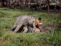 Elephant and Man Reading