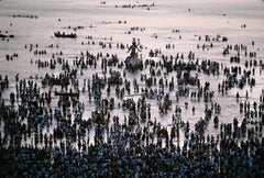  Ganesh Chaturthi Festival, 1994 
