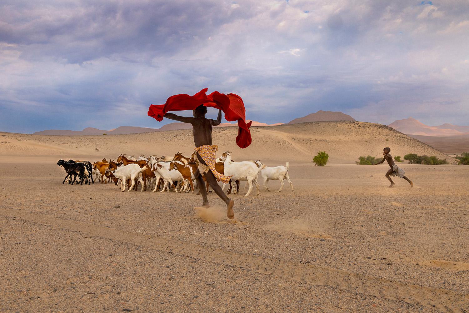Steve McCurry Color Photograph – Himba-Gefäße nehmen ihre Ziegen zu Graze