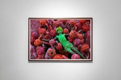 Holi Festival, Rajasthan, India, 1996  - Steve McCurry (Colour Photography)