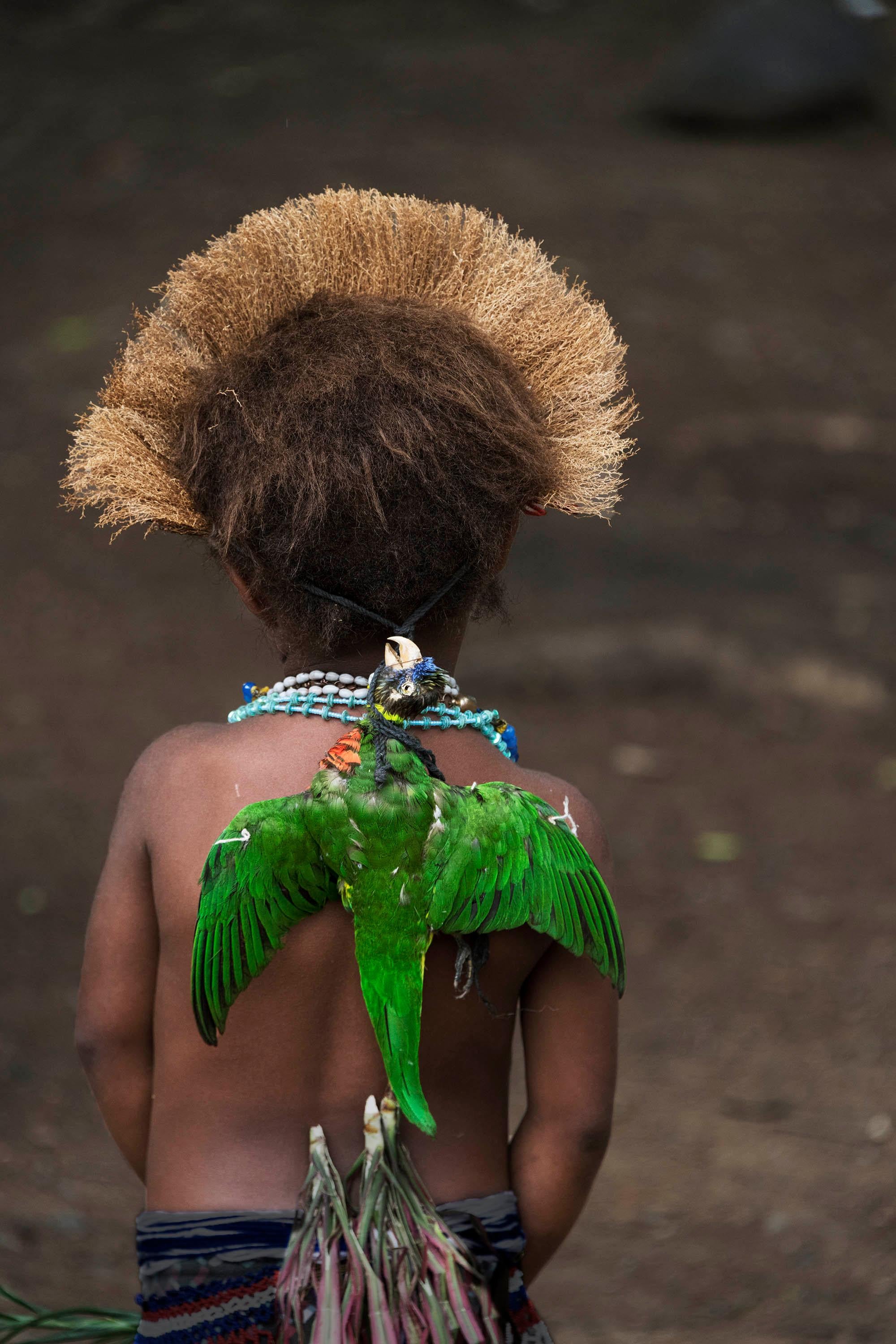 Steve McCurry Color Photograph - Papua New Guinea