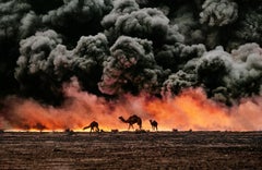 Photograph of Camels Silhouetted Against a Bright Orange Oil Fire in Kuwait
