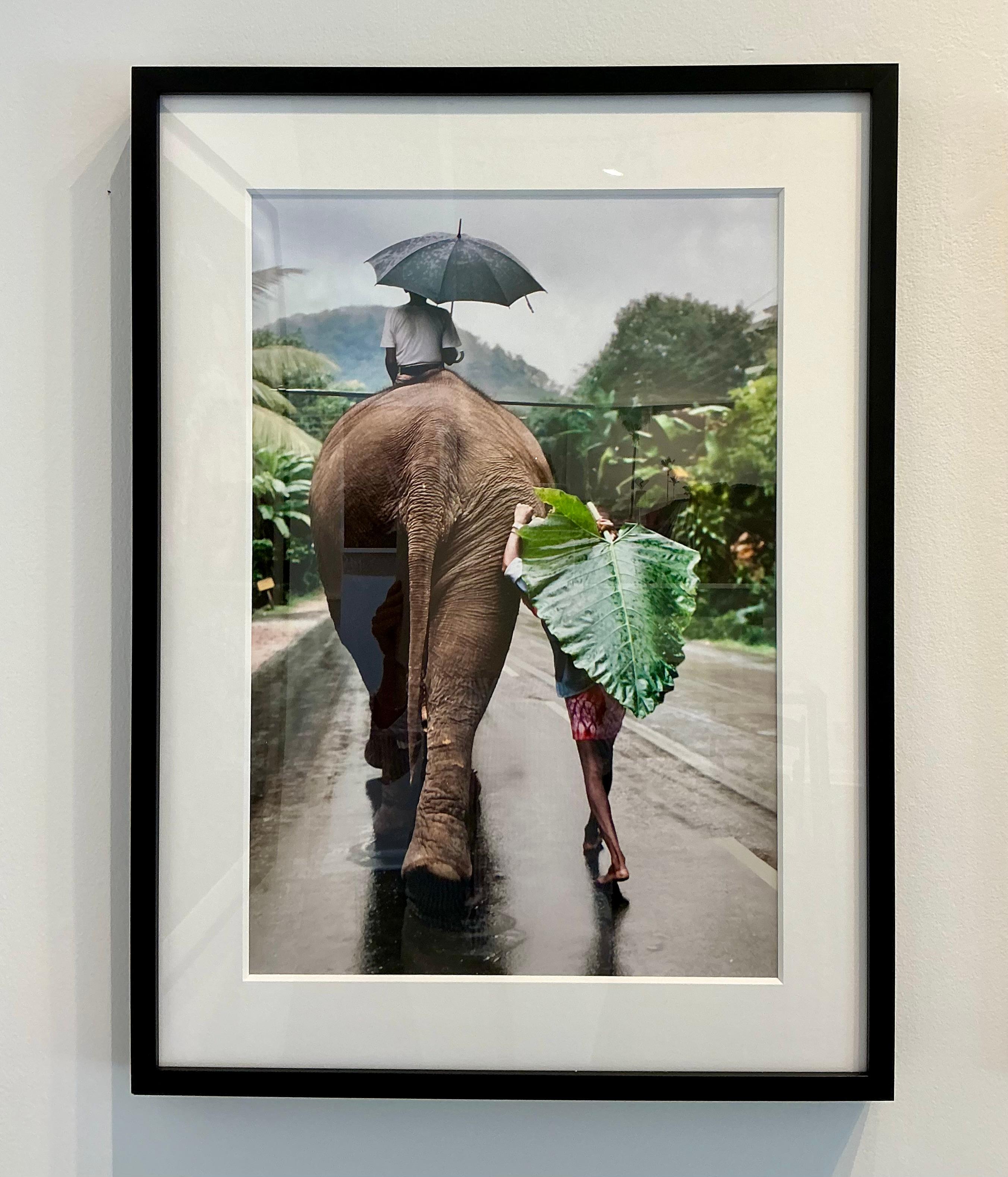 Un giovane uomo cammina dietro un elefante, Sri Lanka, 1995 - Photograph di Steve McCurry