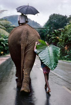 Young Man walks behind Elephant, Sri Lanka, 1995
