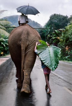 Young Man Walks Behind Elephant, Sri Lanka, 1995