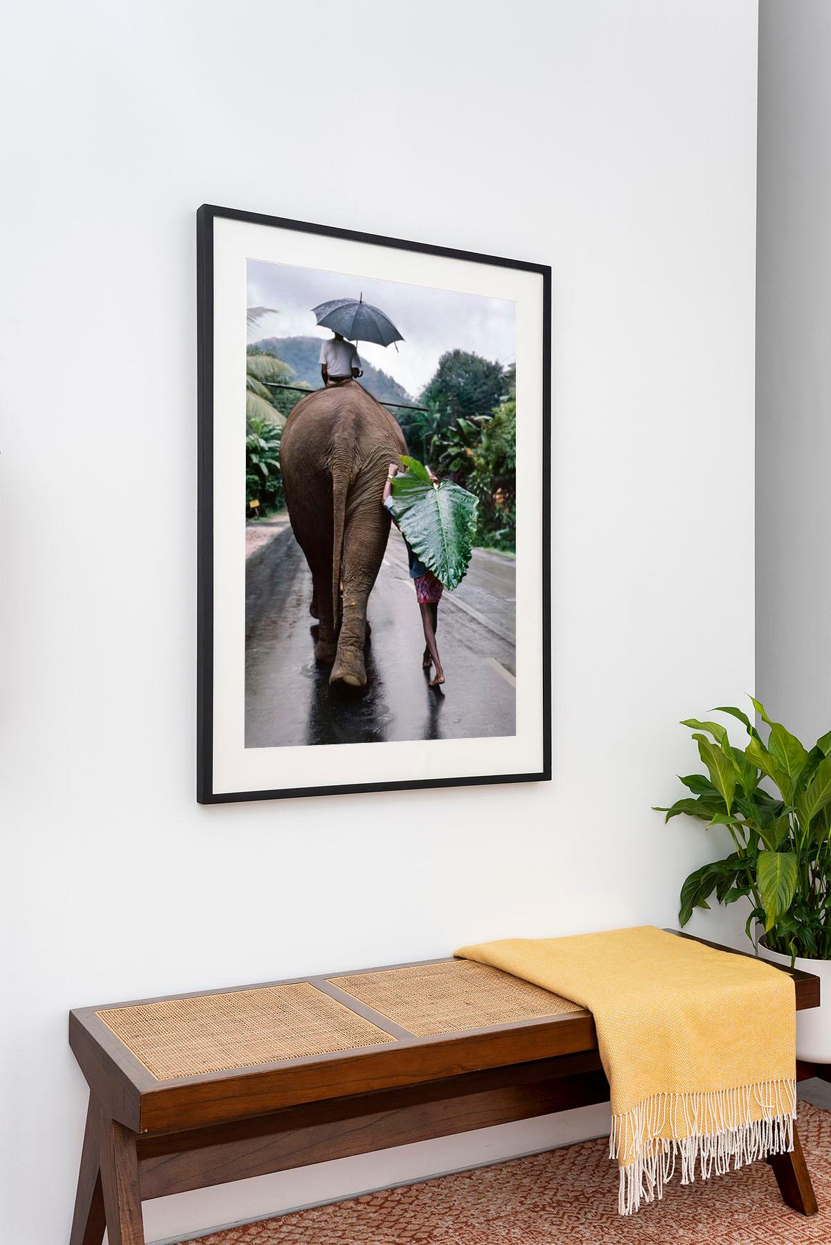Joven camina detrás de un elefante, Sri Lanka, 1995 - Steve McCurry en venta 1