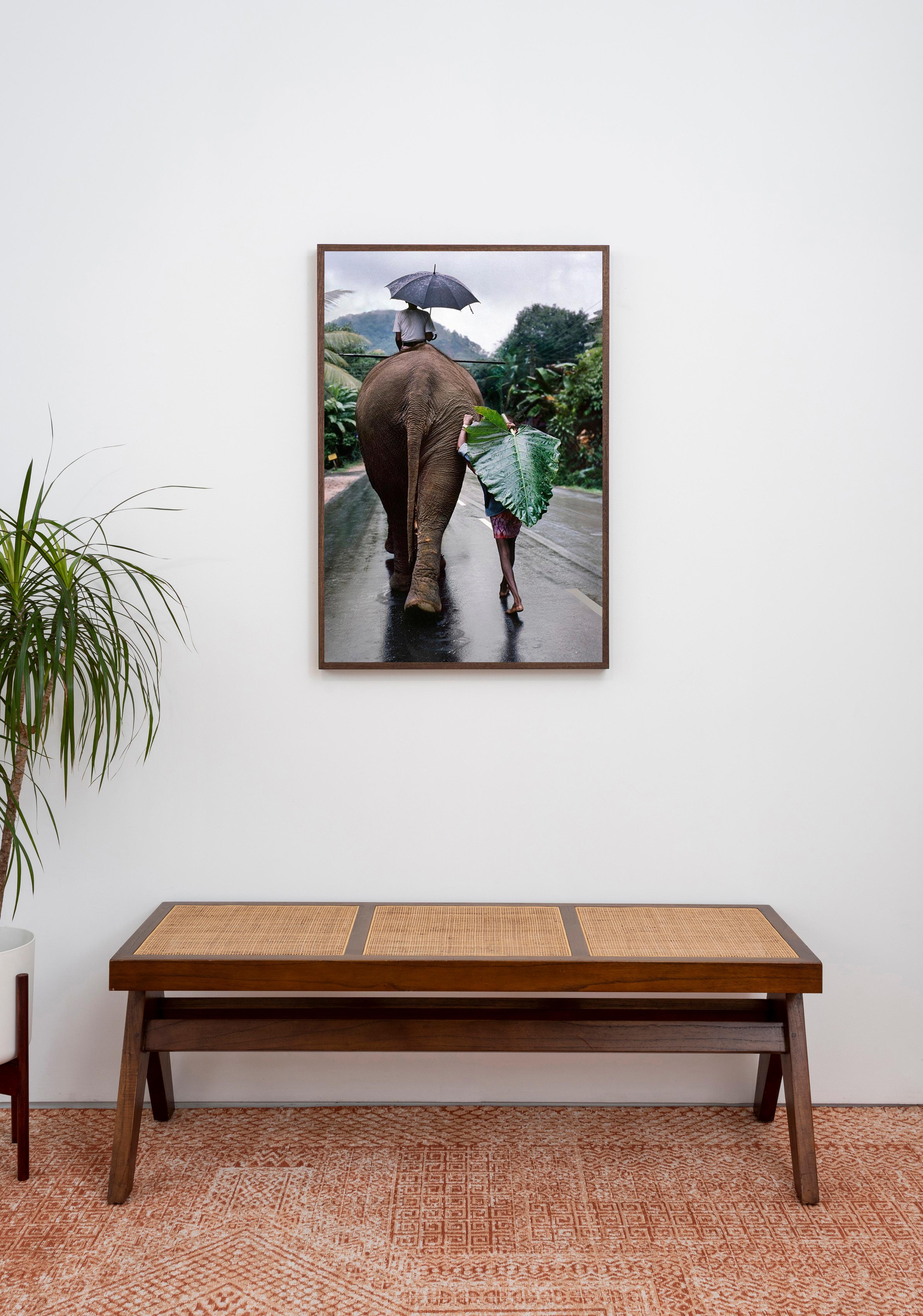 Joven camina detrás de un elefante, Sri Lanka, 1995 - Steve McCurry en venta 2