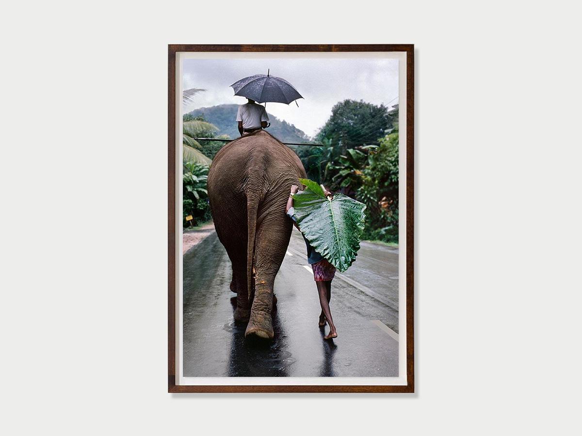 Joven camina detrás de un elefante, Sri Lanka, 1995 - Steve McCurry en venta 3