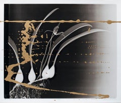 "Health of the Planet #620"  Xray image of orchid on black with expressive gold 