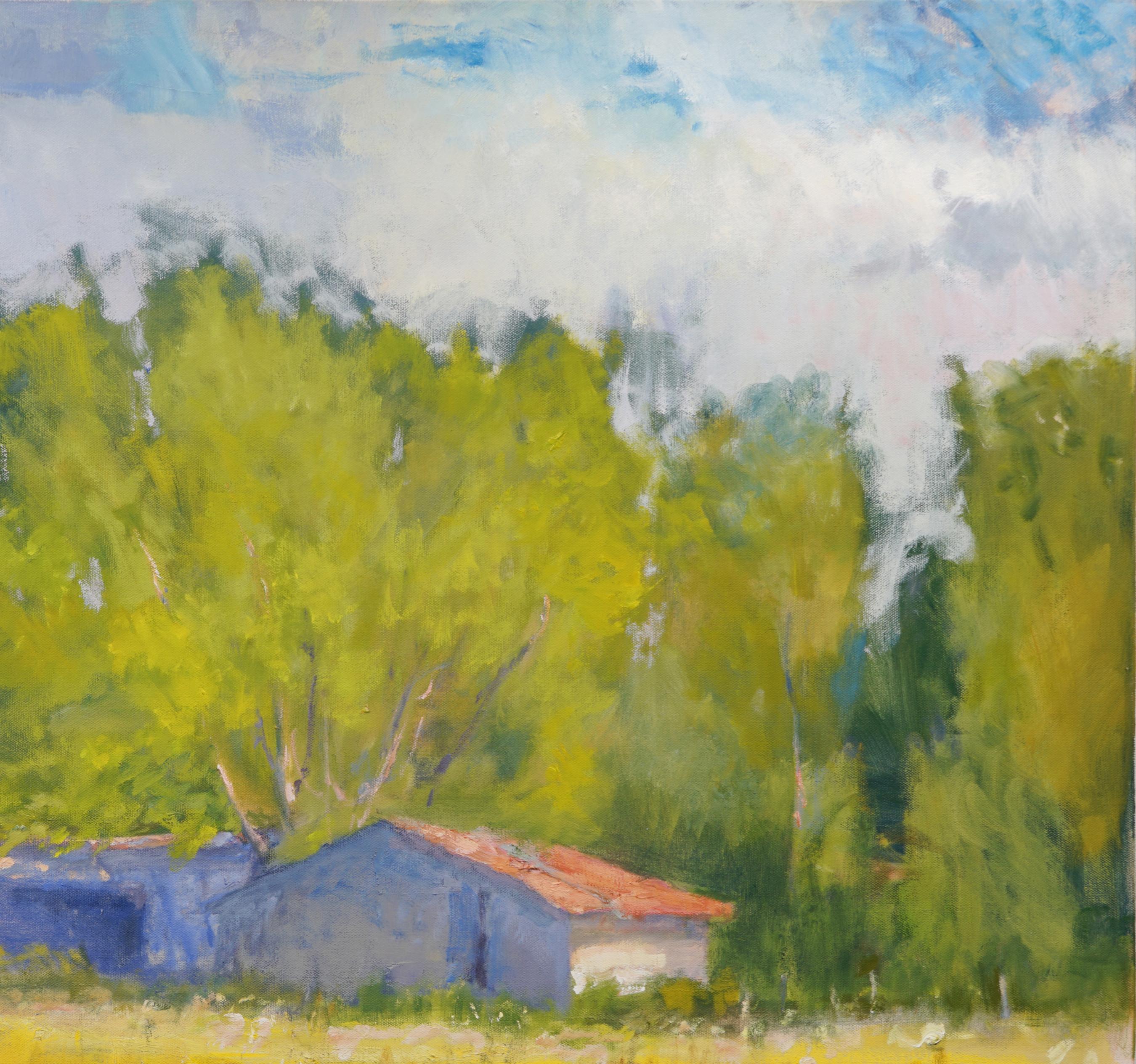 Nachmittag im texanischen Hügelland Landschaft Öl Impressionismus, Scheune, Sonne 36x36 (Amerikanischer Impressionismus), Painting, von Steve Parker