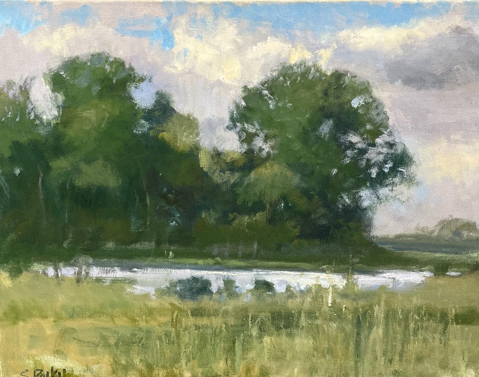 Landscape Painting Steve Parker - George Ranch Trees Texas Landscape Huile Impressionnisme américain  La lumière et l'ombre 