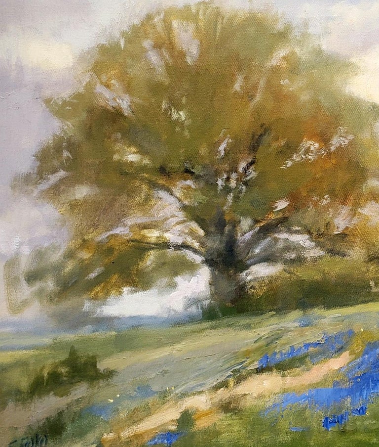 Hill Country .Texas landscape ,oil painting, Contemporary Impressionistic style - Brown Landscape Painting by Steve Parker