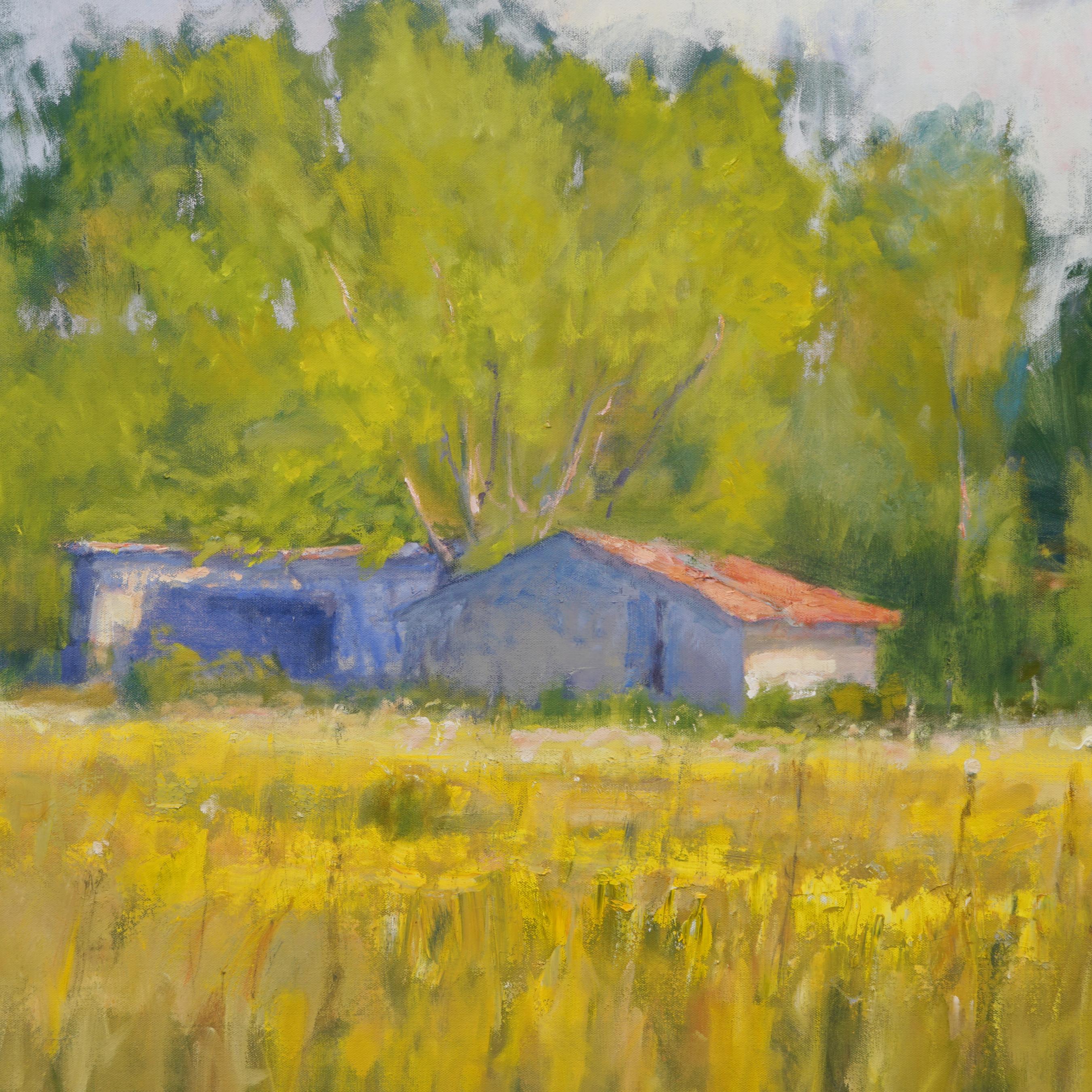  Late Afternoon , Texas Landscape, Oil, American Impressionism, Barn, Sun 36x36 - Painting by Steve Parker