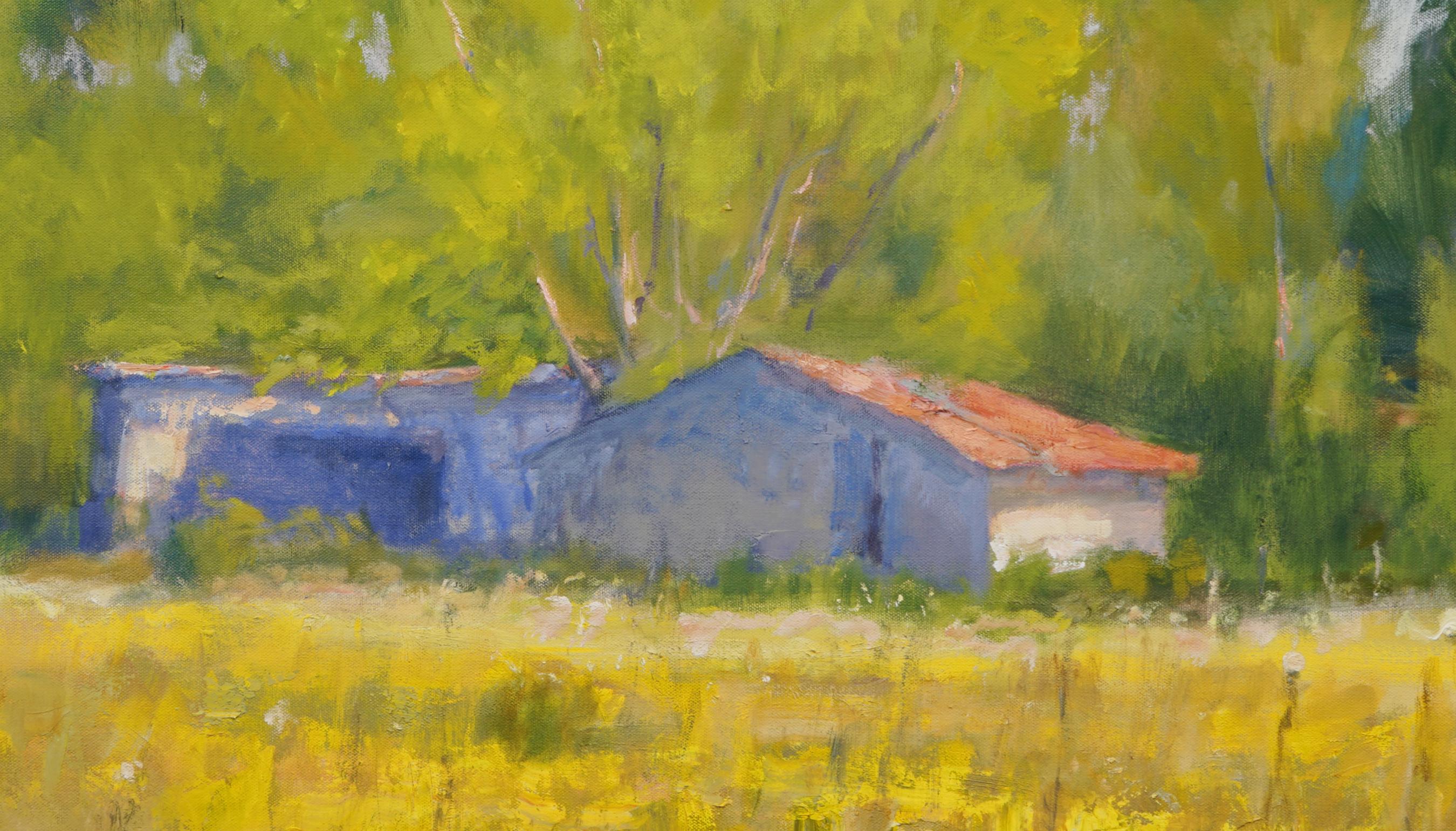  Late Afternoon , Texas Landscape, Oil, American Impressionism, Barn, Sun 36x36 - American Impressionist Painting by Steve Parker