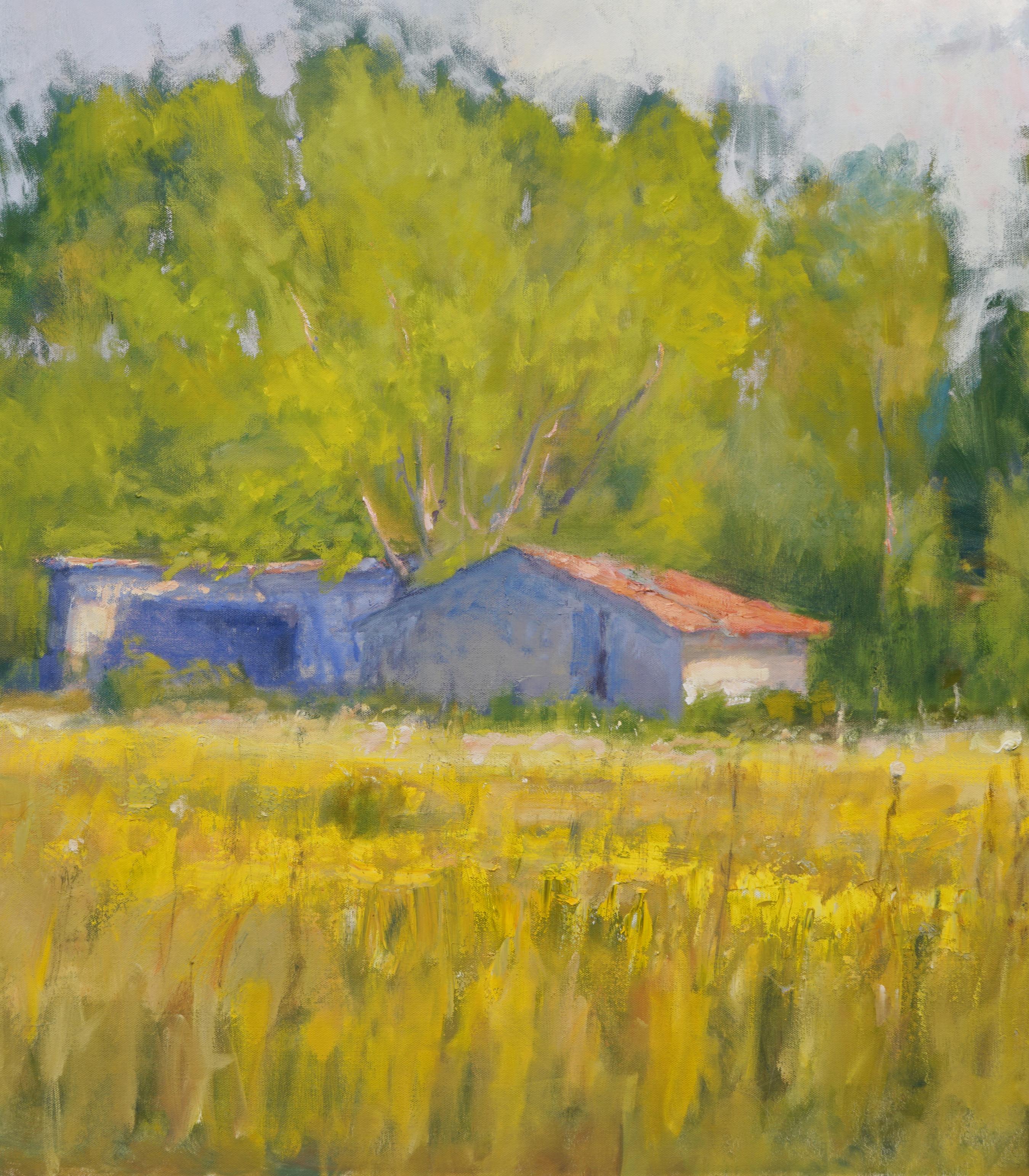  Late Afternoon , Texas Landscape, Oil, American Impressionism, Barn, Sun 36x36 - Brown Landscape Painting by Steve Parker