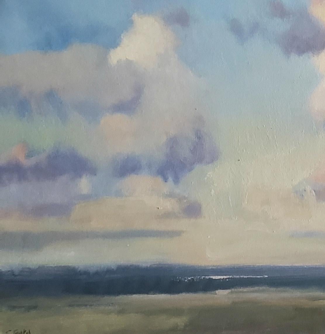 Open Sky est une peinture de paysage contemporaine à l'huile sur toile 36 x 36 peinte en 2020 par l'artiste texan Steve Parker.  Open Sky transmet sa compréhension de la  Texas Sky est une peinture réalisée lors d'un récent voyage à Fayetteville