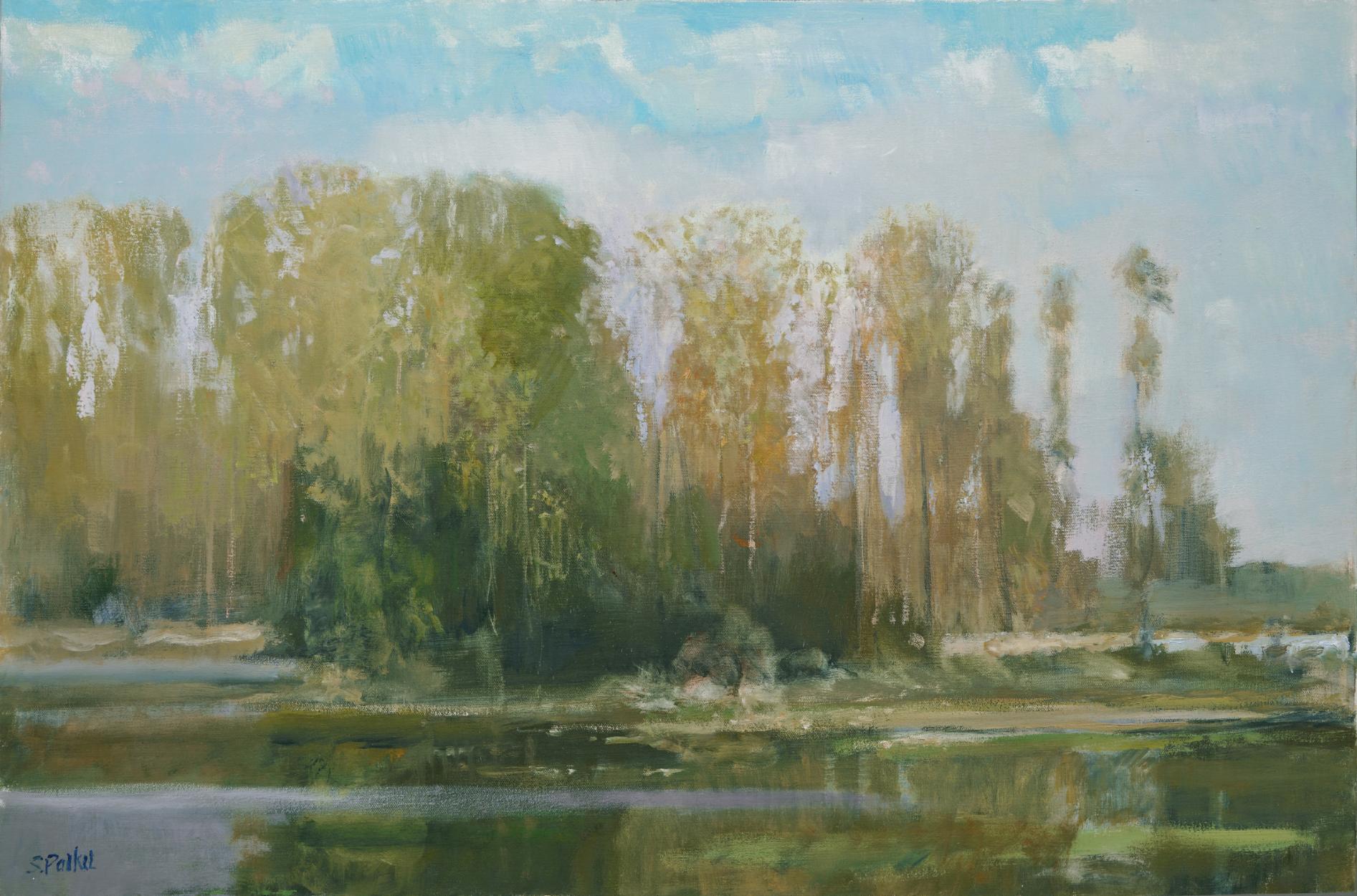 Spring Cove  Paesaggio texano Impressionismo americano   24