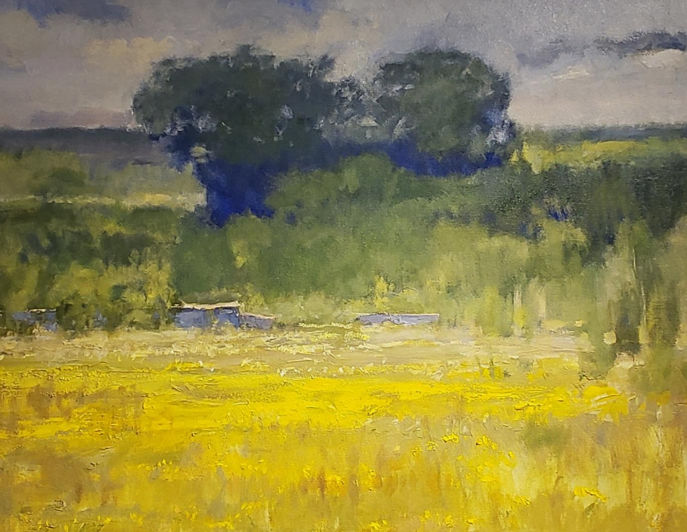 Campo del Texas , pittura ad olio di paesaggio del Texas, stile impressionista contemporaneo - Painting di Steve Parker