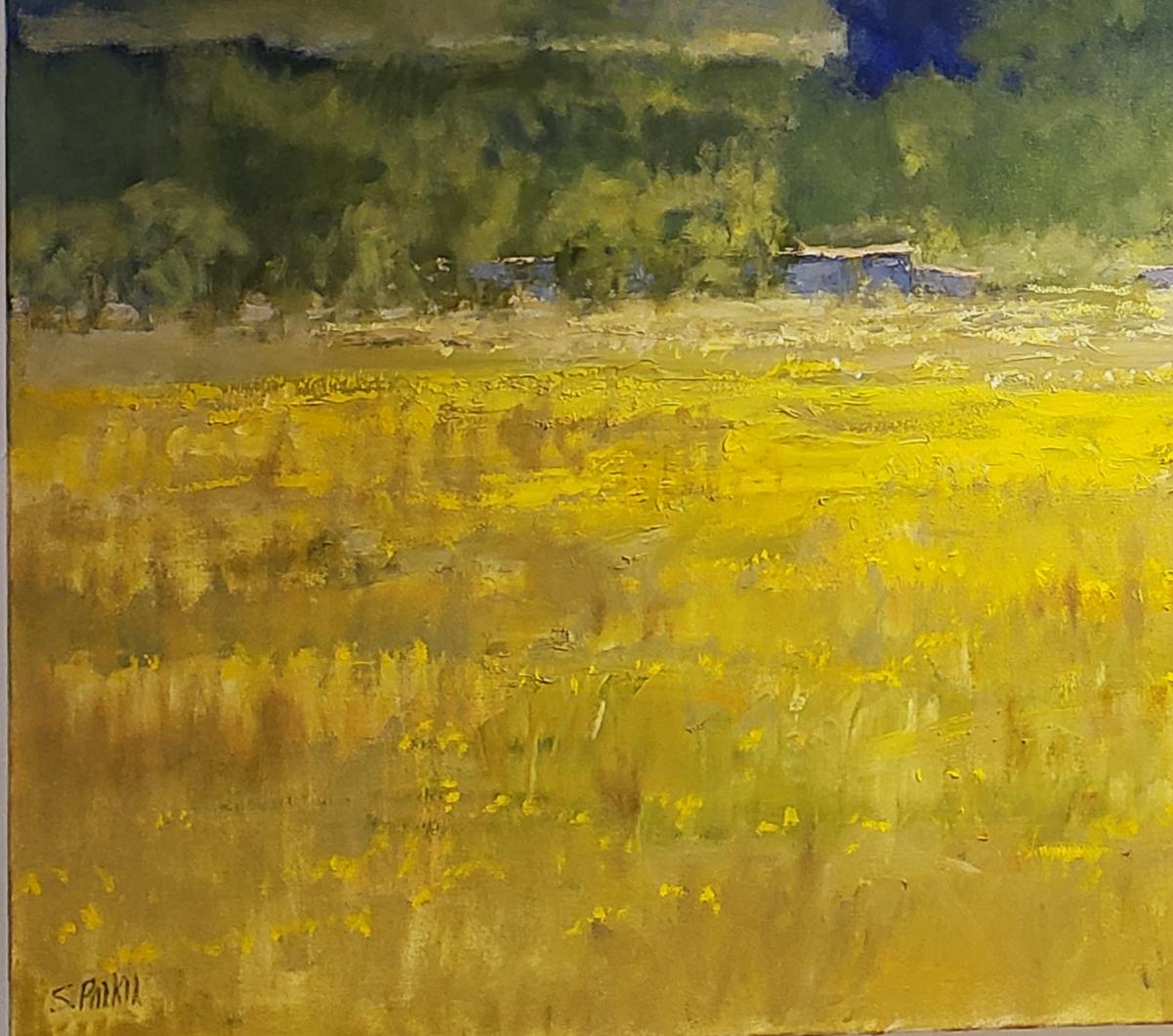 Campo del Texas , pittura ad olio di paesaggio del Texas, stile impressionista contemporaneo - Painting Impressionismo di Steve Parker