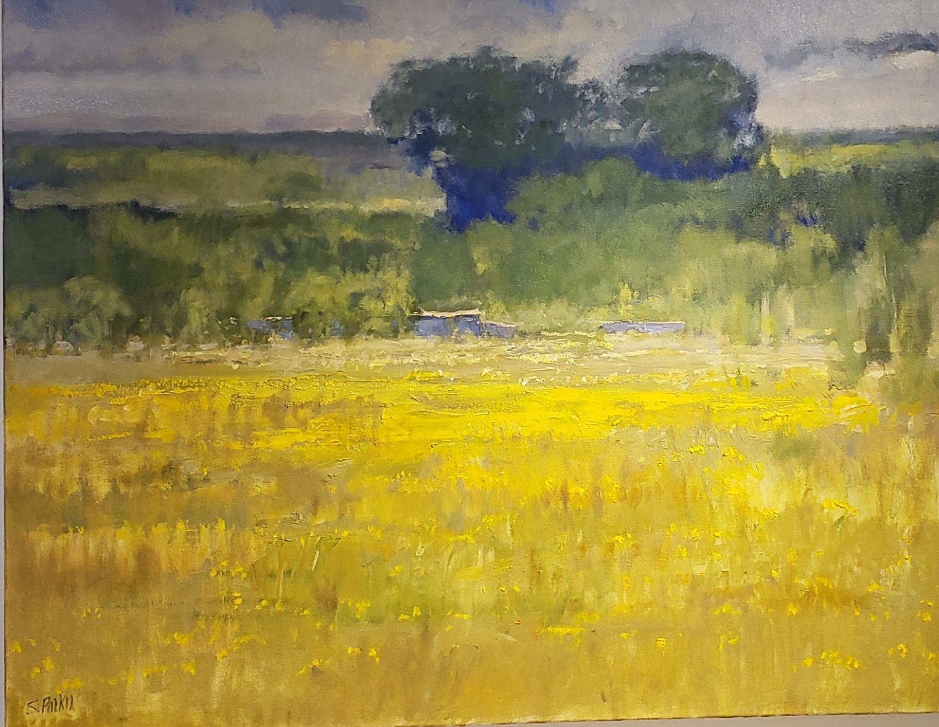 Campo de Texas , pintura al óleo de paisaje de Texas, estilo Impresionista Contemporáneo en venta 1