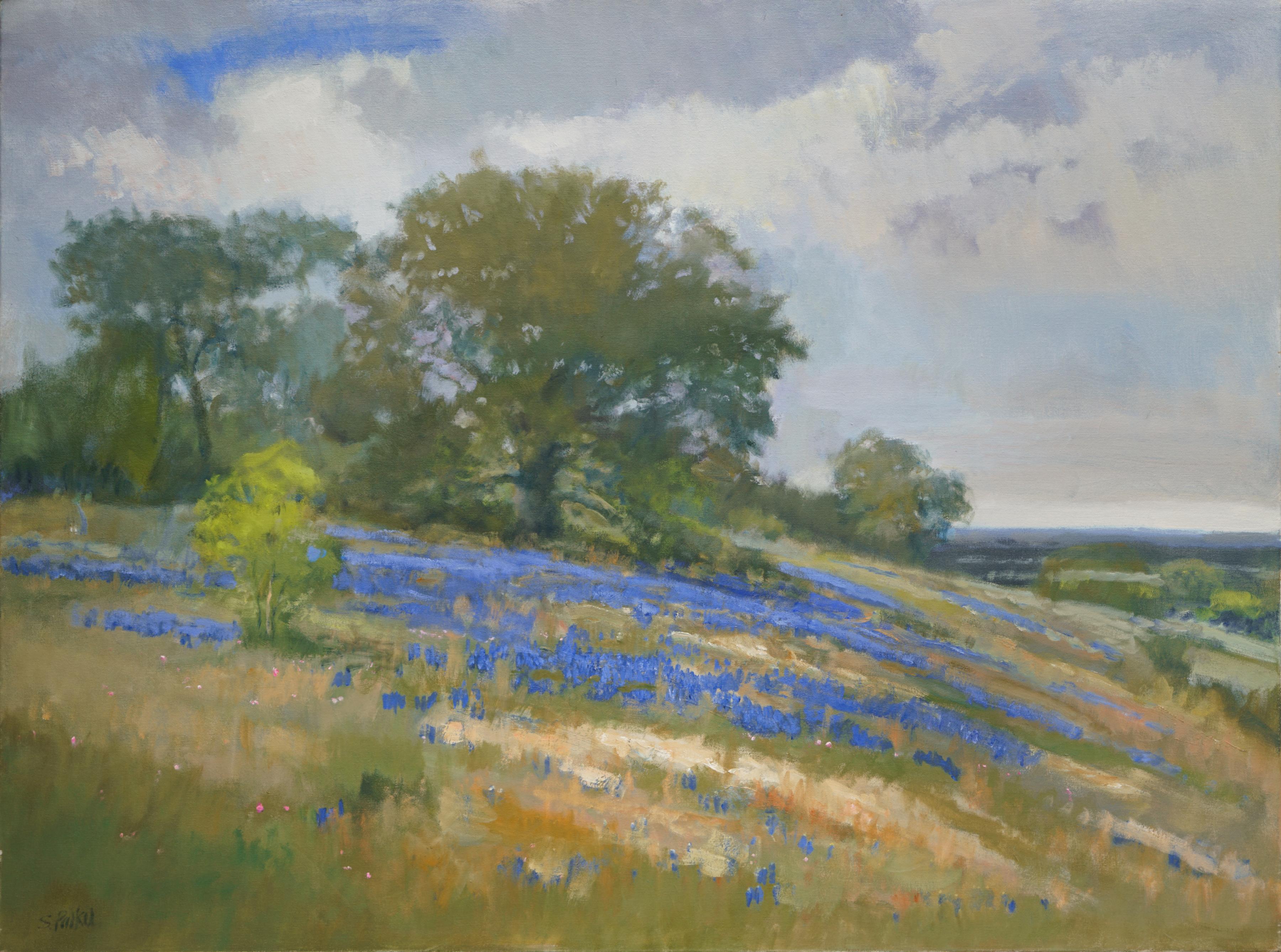 Texas Hill Country, Bluebonnets, Óleo sobre lienzo, Enmarcado, Paisaje de Texas - Painting de Steve Parker
