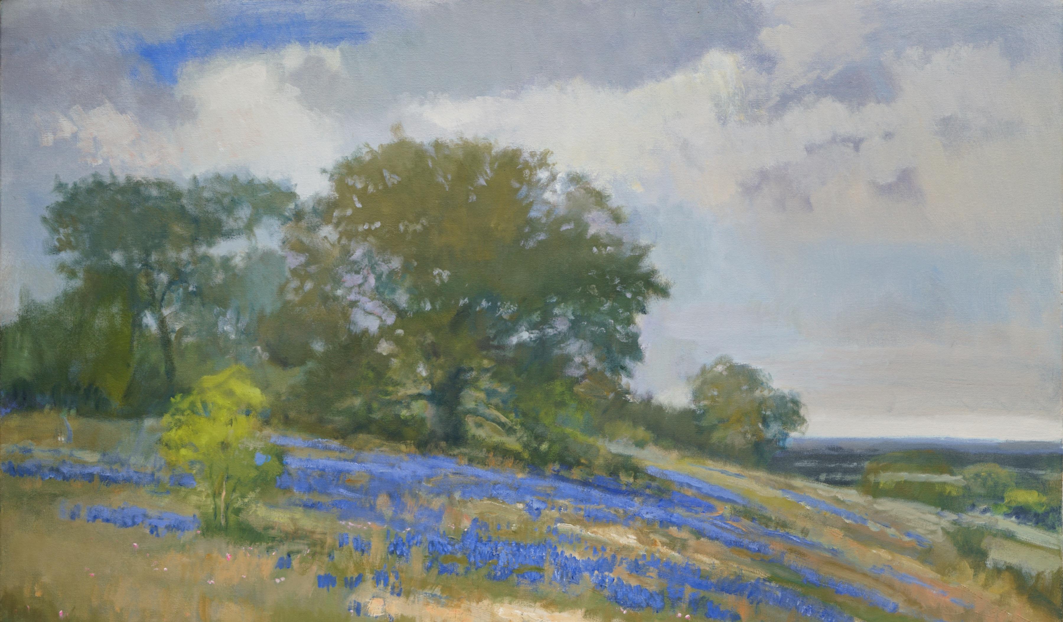 Texas Hill Country, Bluebonnets, Óleo sobre lienzo, Enmarcado, Paisaje de Texas - Landscape Painting Gris de Steve Parker
