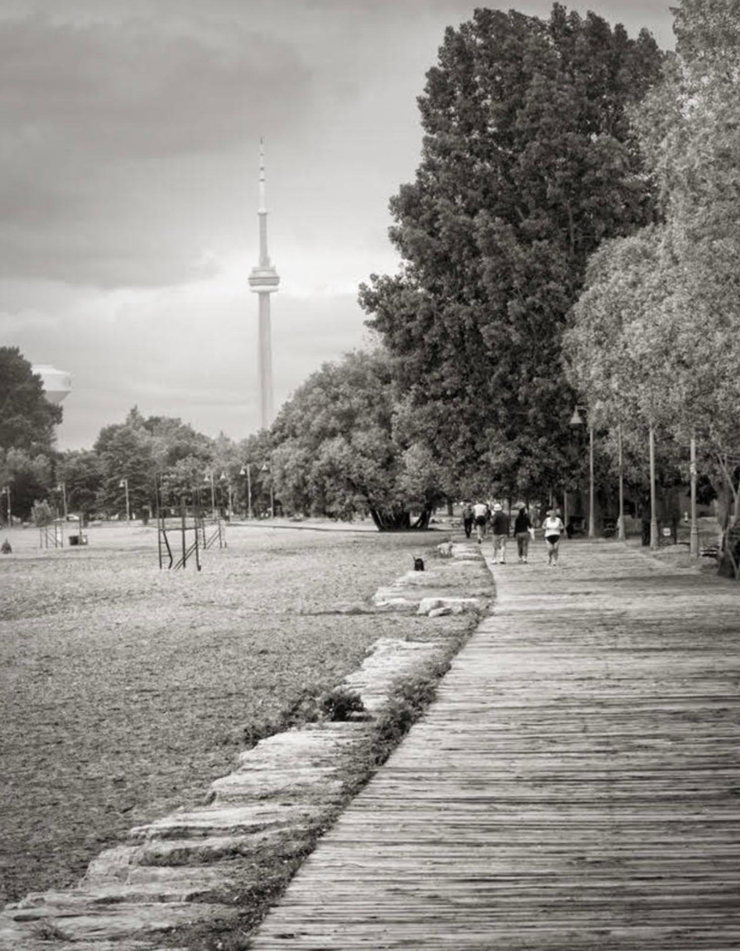 Toronto Views I