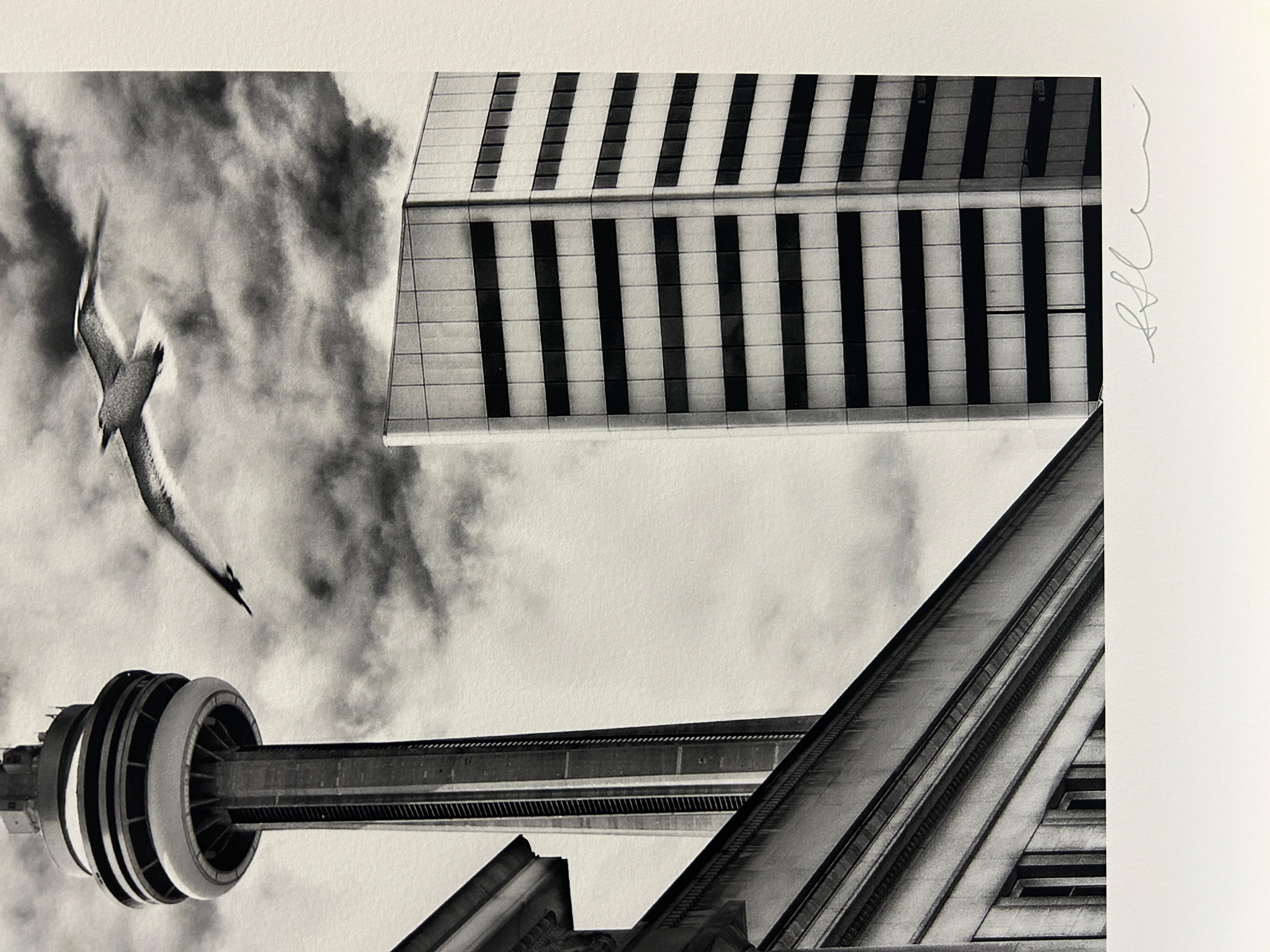 Toronto Views II - Gray Black and White Photograph by Steve Silverman
