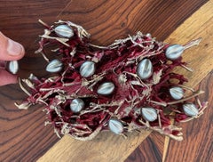 Bronze Nest (dark magenta patina with dozen eggs) by Steve Tobin