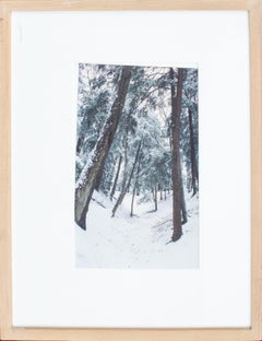 Fotografía del paisaje invernal de Glen Park, Stroudsburg PA, por Steve Waters