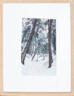 Vintage Glen Park Wintery Landscape Photo, Stroudsburg PA, by Steve Waters