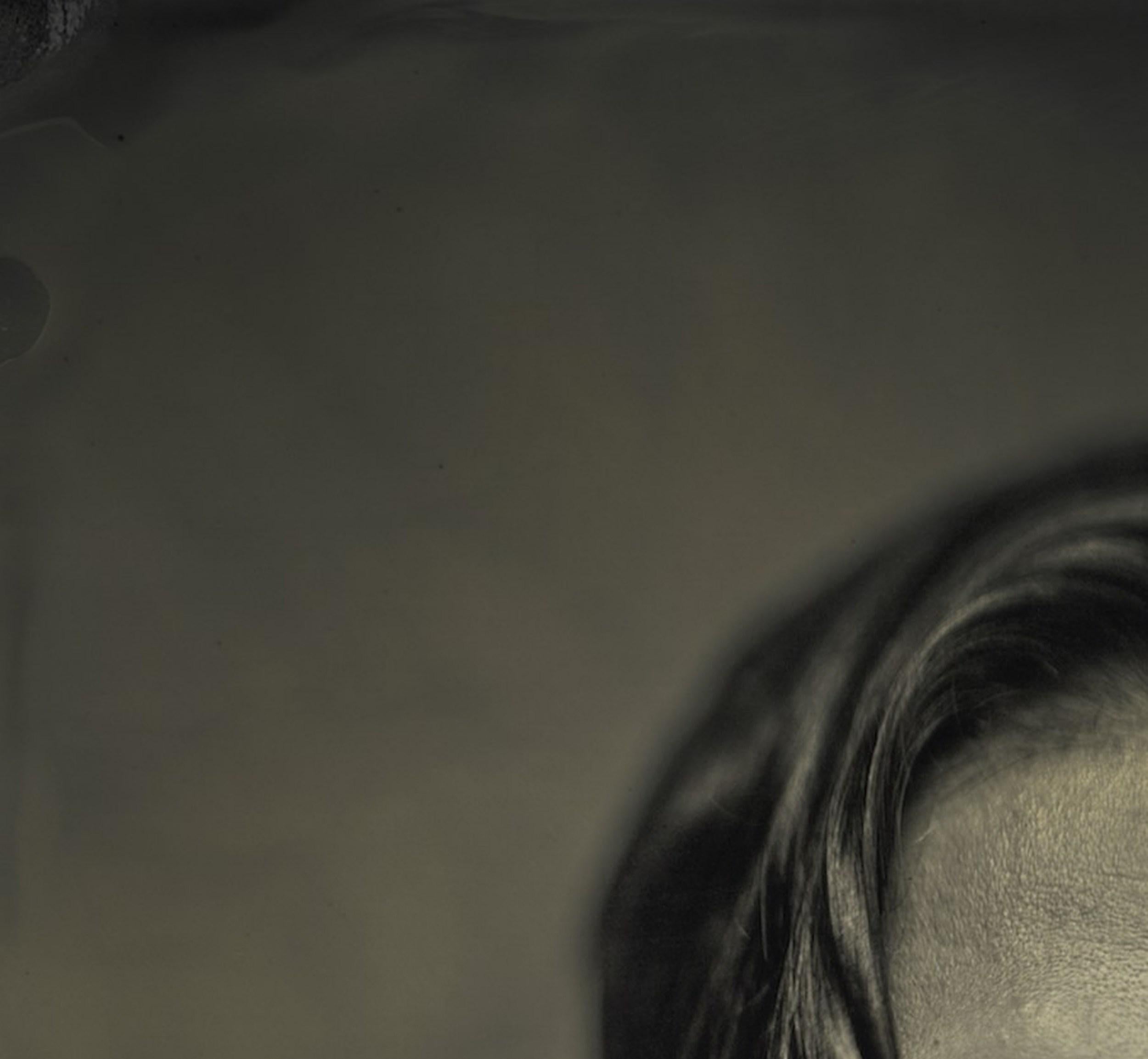 Logan (Portrait, Doux, Sépia) en vente 2