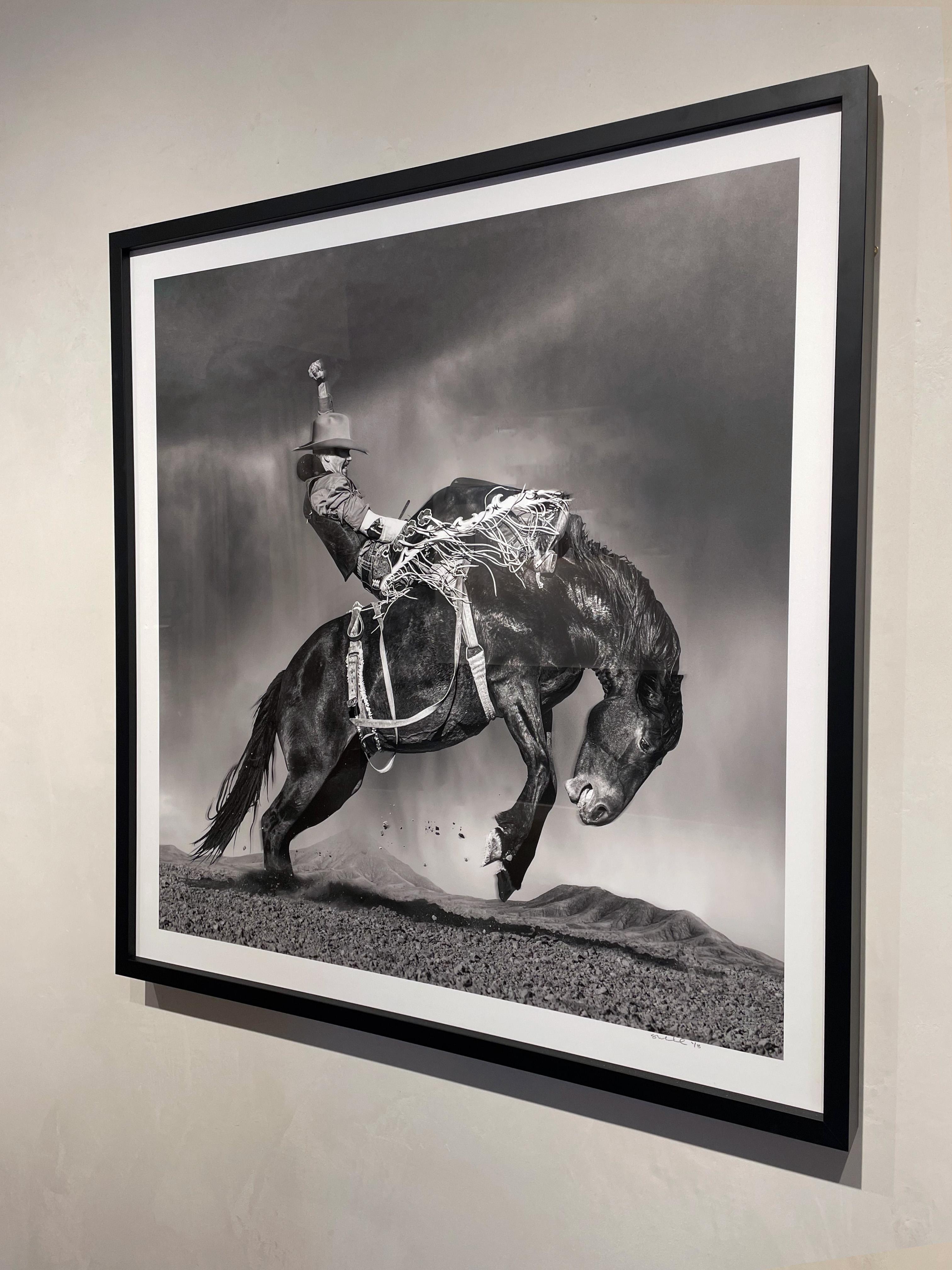 Larsen - Photograph de Steve Wrubel