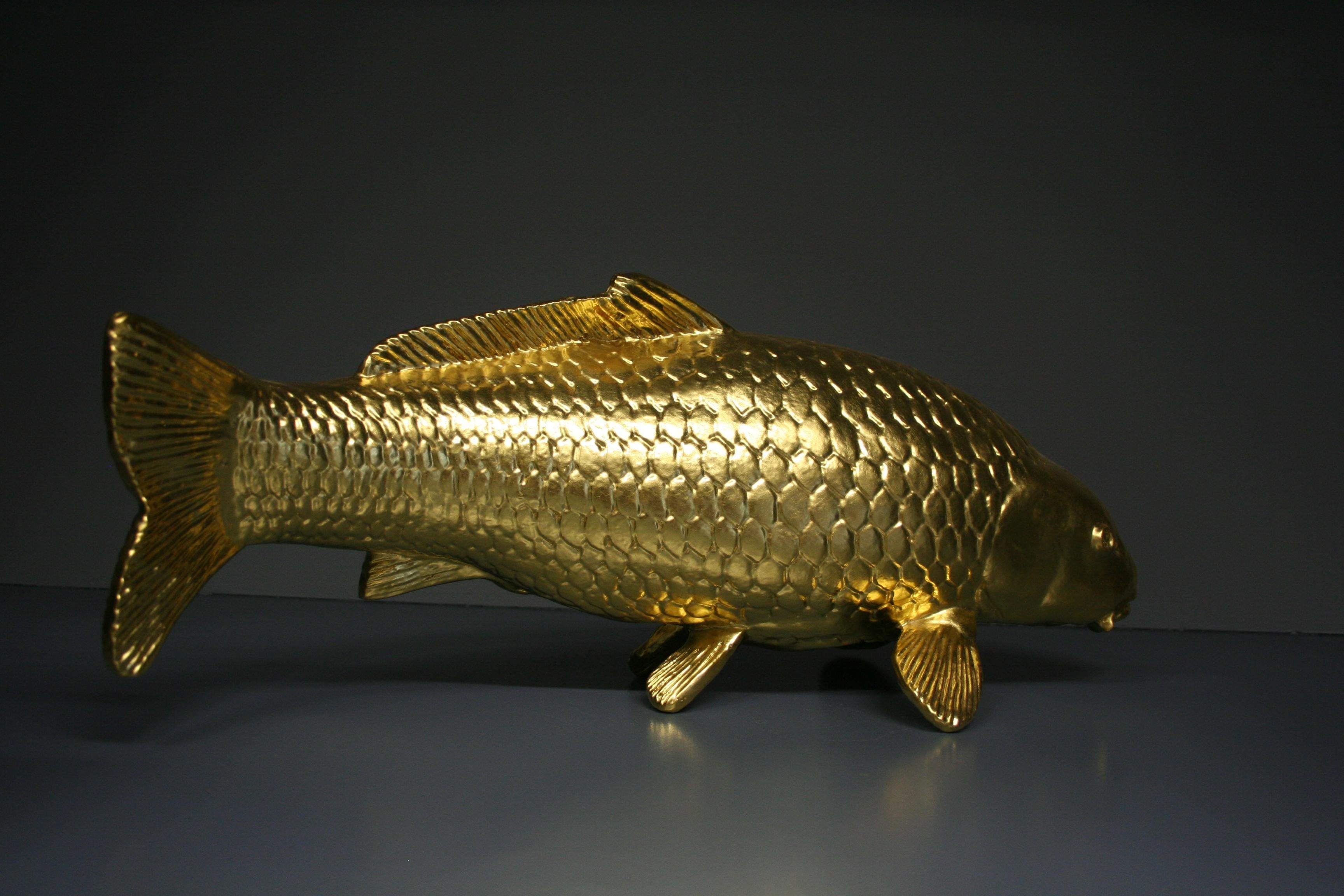 carp golden
