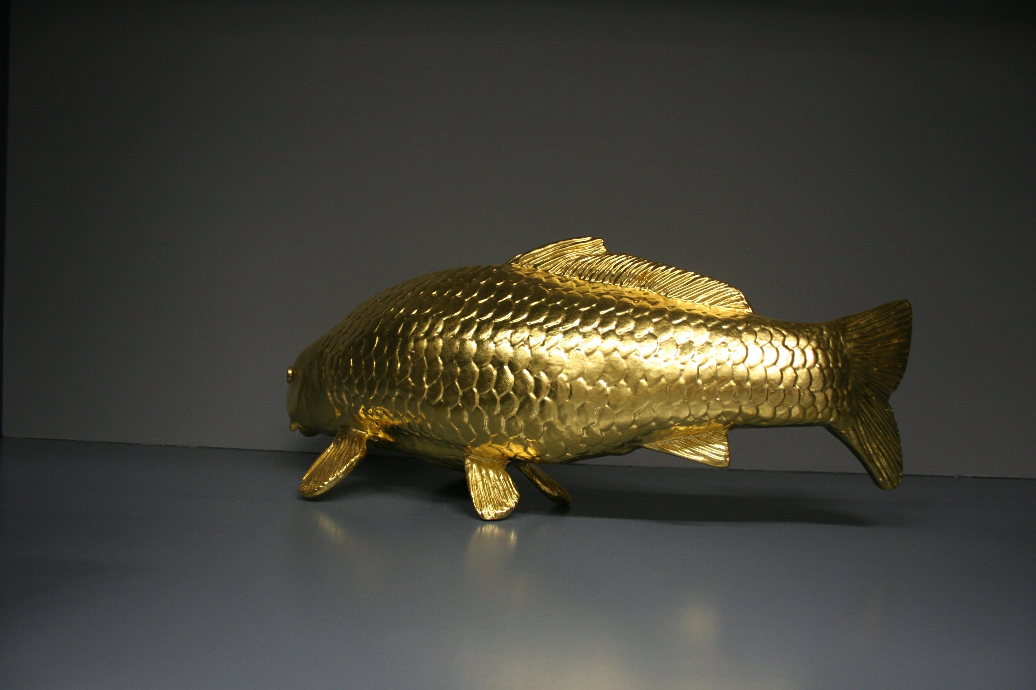 gold carp