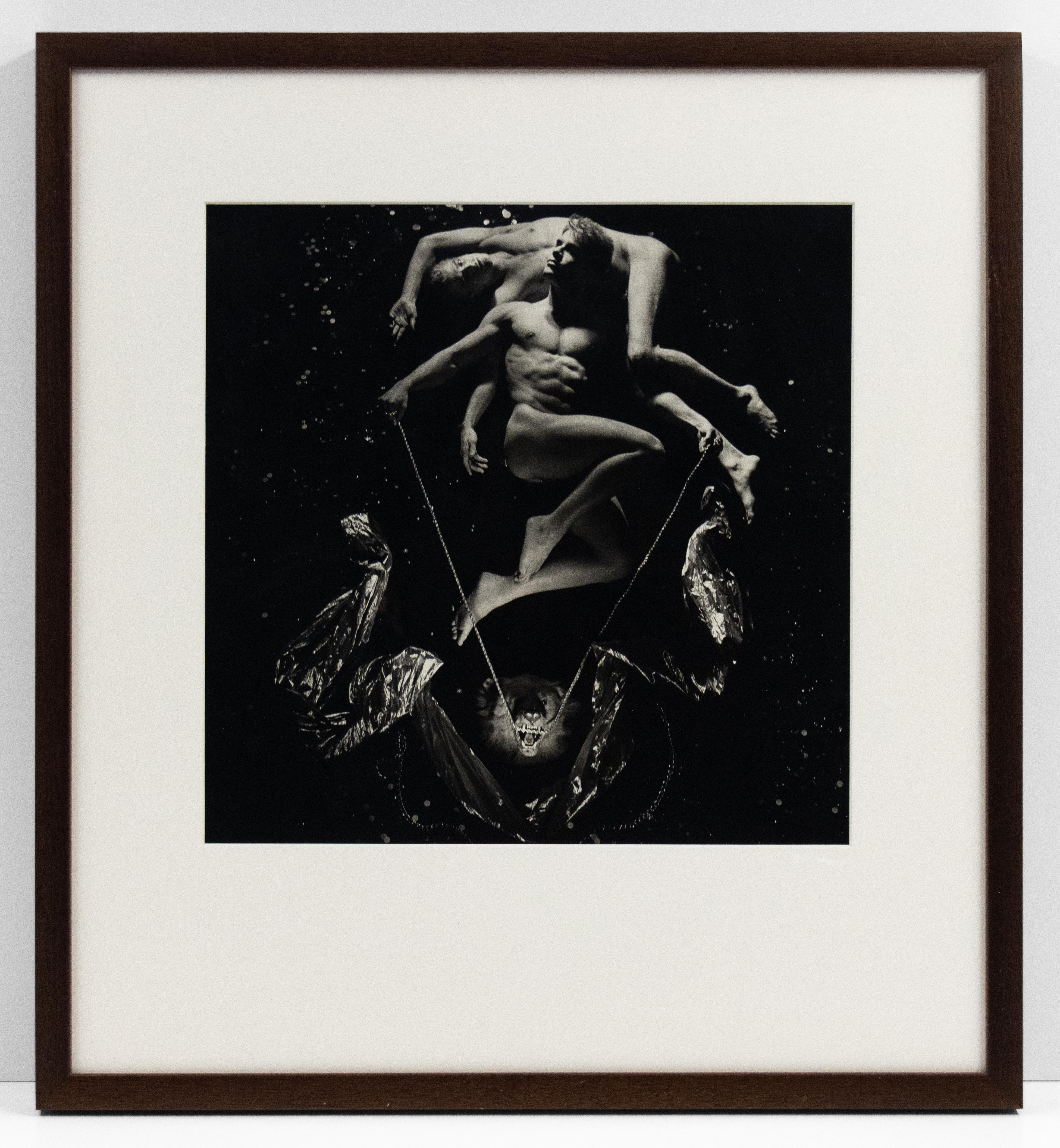 Barley Salvation - Contemporary Photograph by Steven Arnold