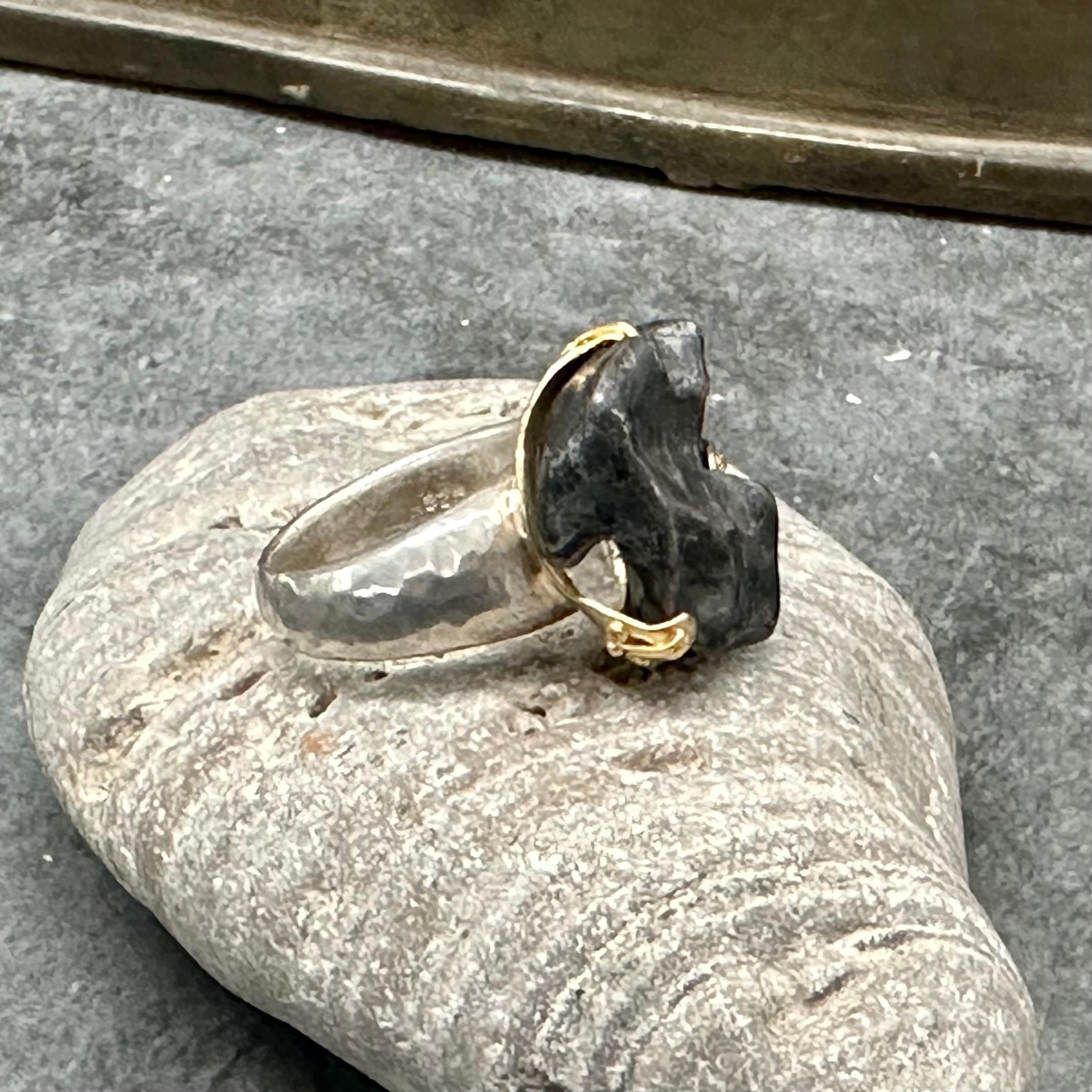 Contemporain Steven Battelle 14.5 Gram Meteorite Silver 18K Gold Bezel Mens Ring en vente