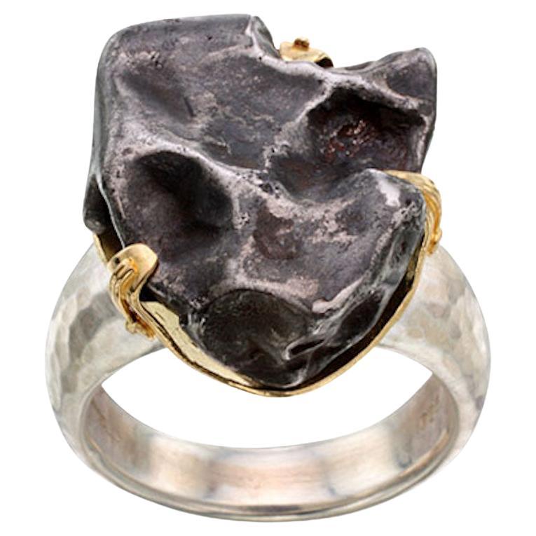 Steven Battelle 14.5 Gram Meteorite Silver 18K Gold Bezel Mens Ring For Sale