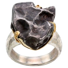 Steven Battelle 14.5 Gram Meteorite Silver 18K Gold Bezel Mens Ring