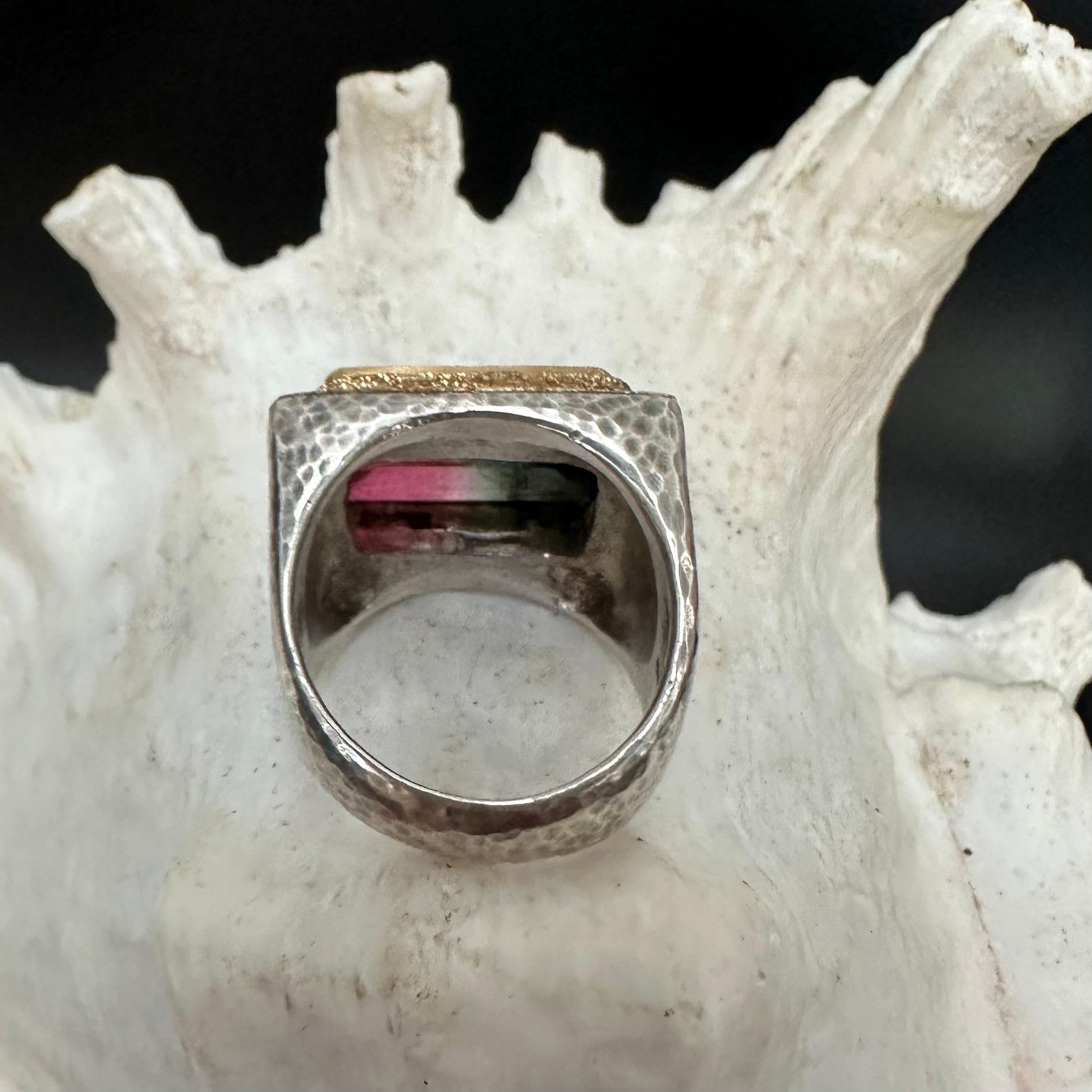 Steven Battelle, bague en or 18 carats, tourmaline melon d'eau 9,0 carats en vente 1