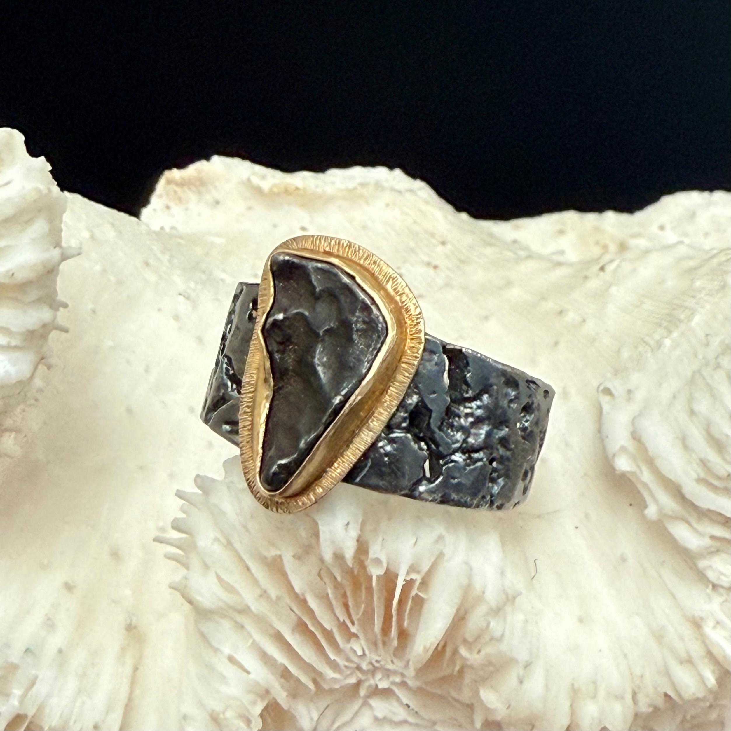 Steven Battelle Sikhote-Alin Meteorit 18K Gold/Sterling Ring im Angebot 1