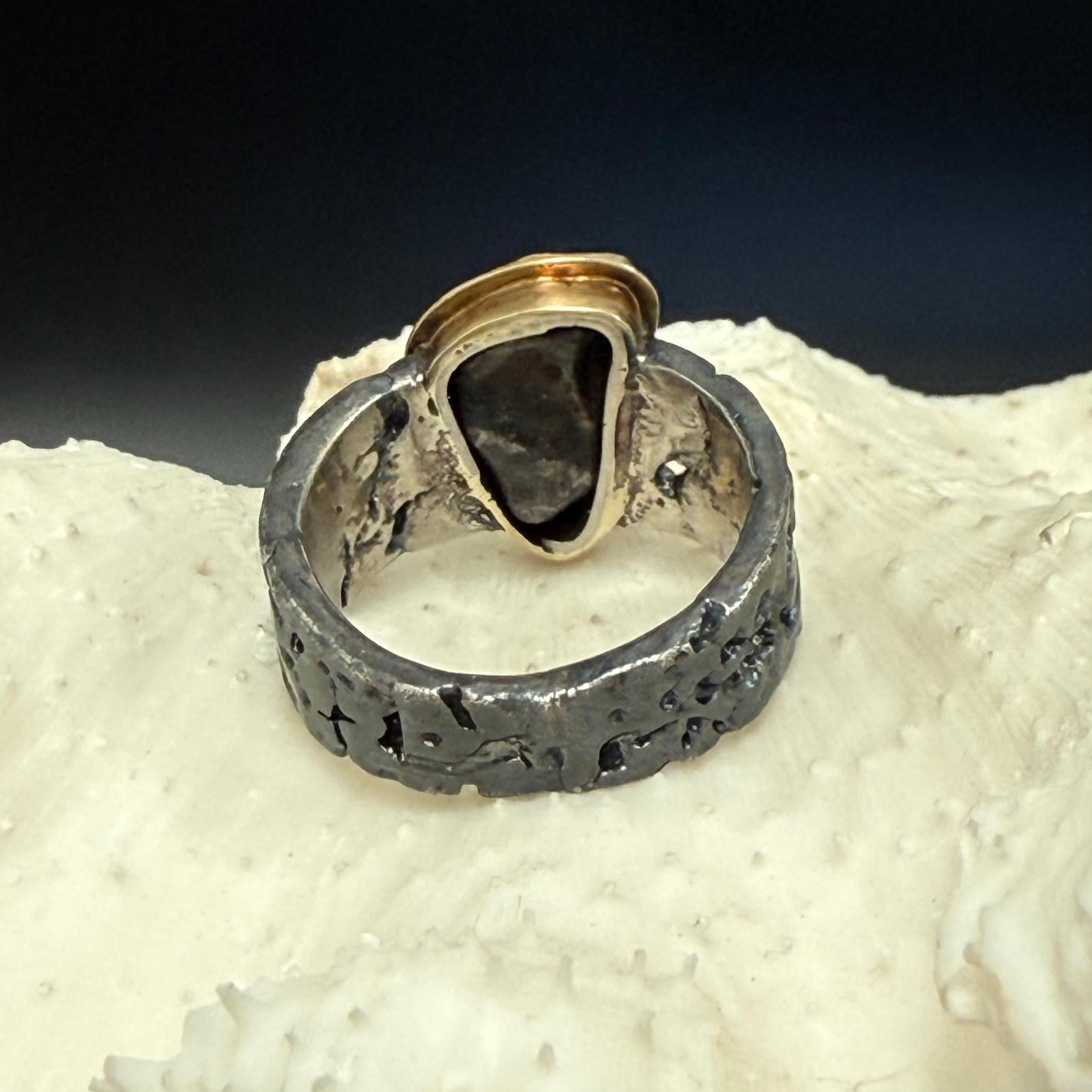 Steven Battelle Sikhote-Alin Meteorit 18K Gold/Sterling Ring im Angebot 2