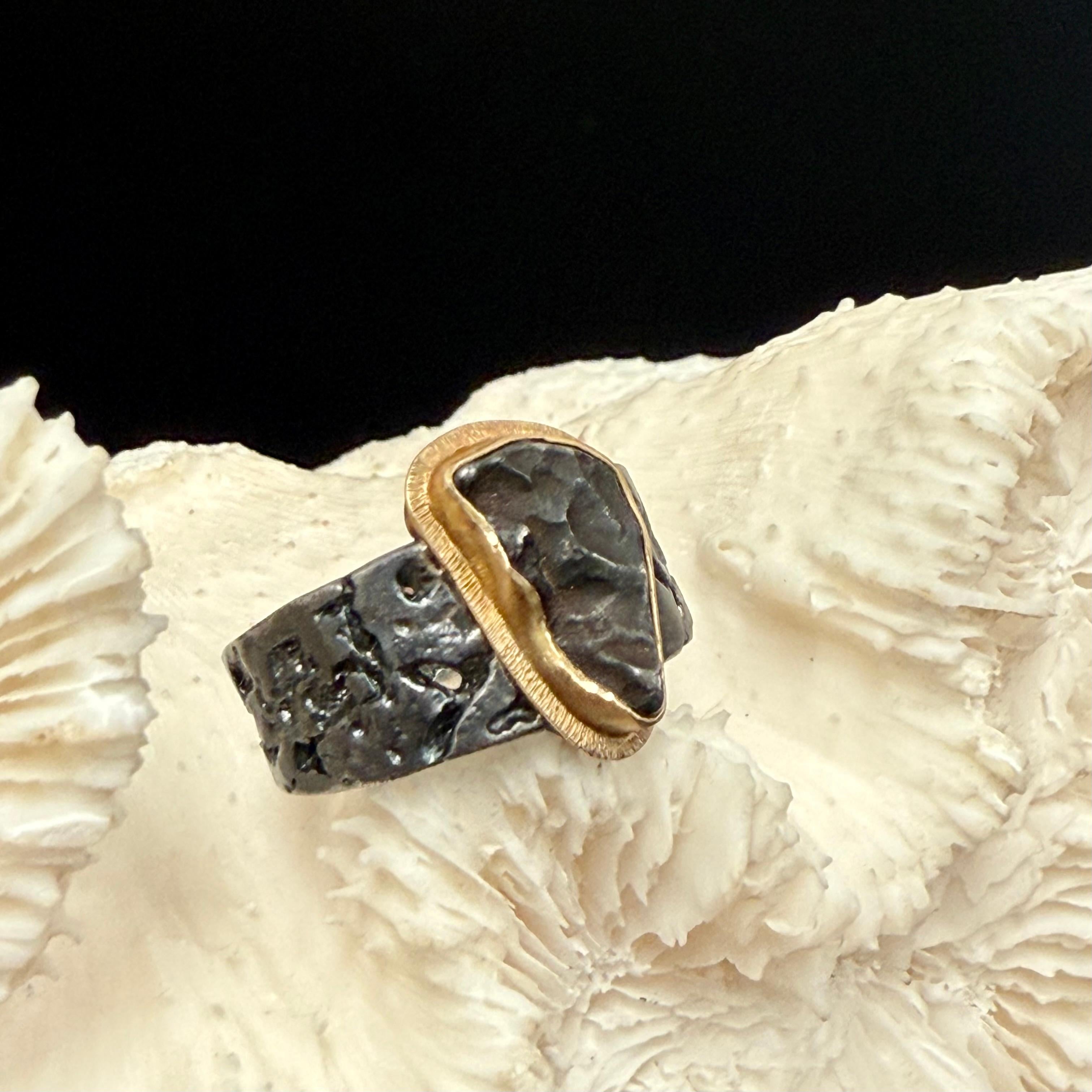 Steven Battelle Sikhote-Alin Meteorit 18K Gold/Sterling Ring im Angebot 3