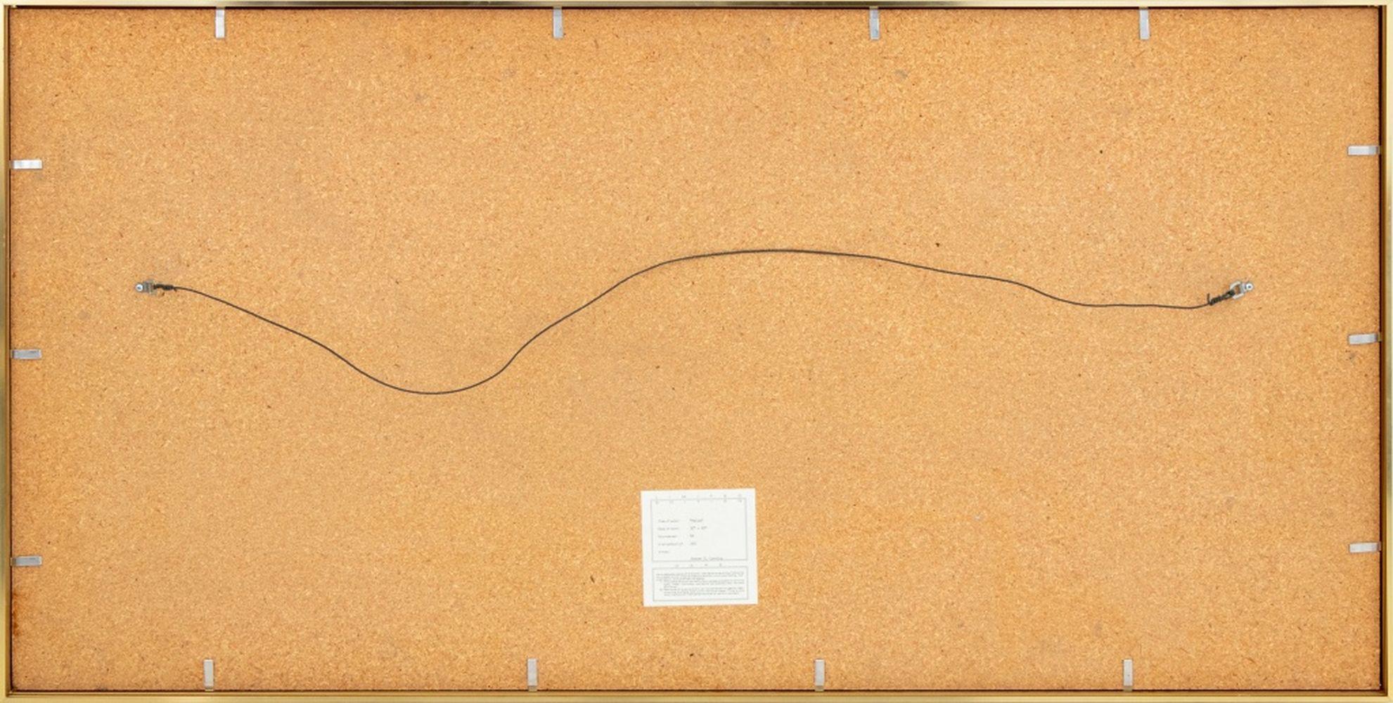 Steven Corning (American, XX) 
