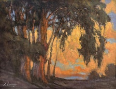 Meadow Gaze; Ojai Meadow Preserve, Ojai