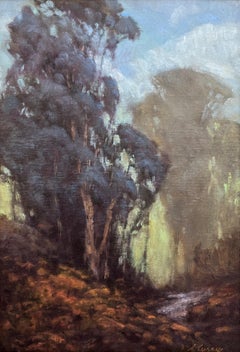 El callejón de la naturaleza; Reserva de Ojai Meadow