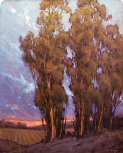 The Vines Behind; Sonoma