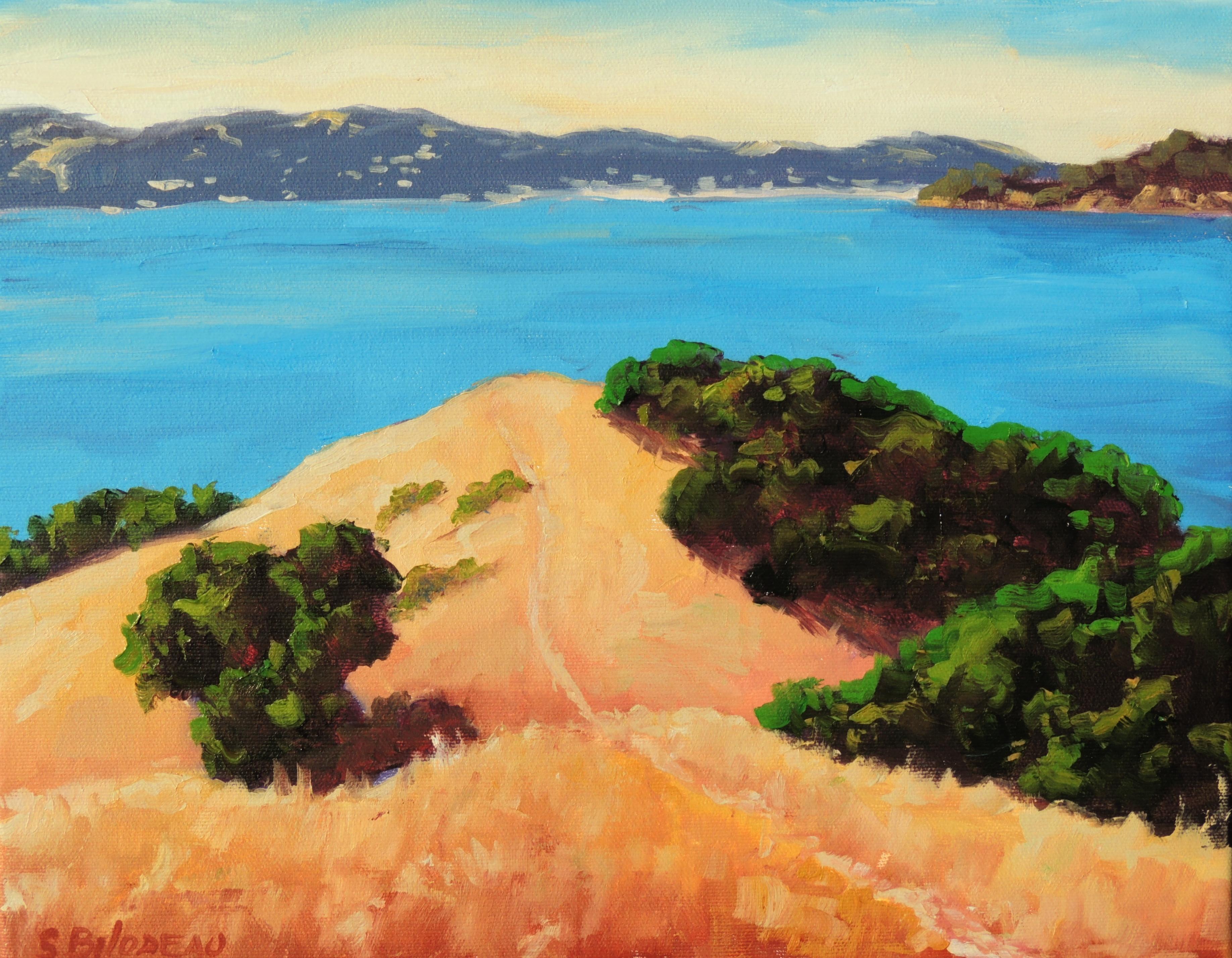 Angel Island Vista - Art by Steven Guy Bilodeau