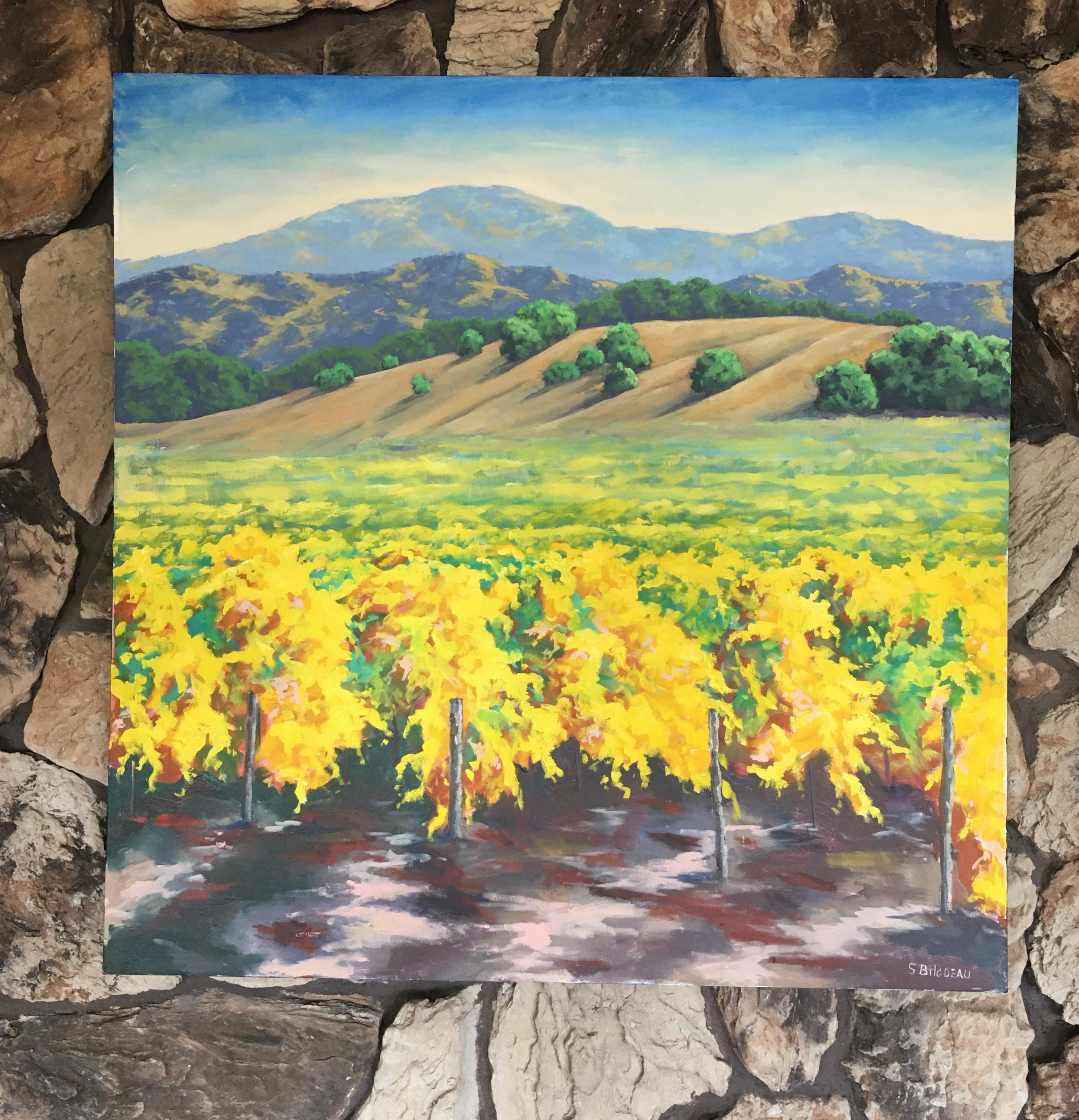 autumn in the vineyard